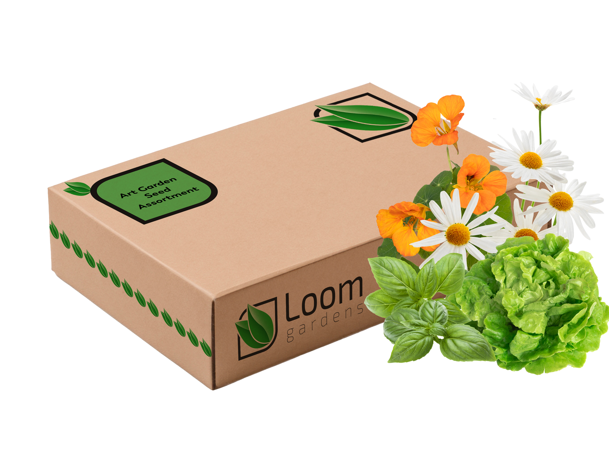 Art Garden Seed Assortment - Loom Gardens