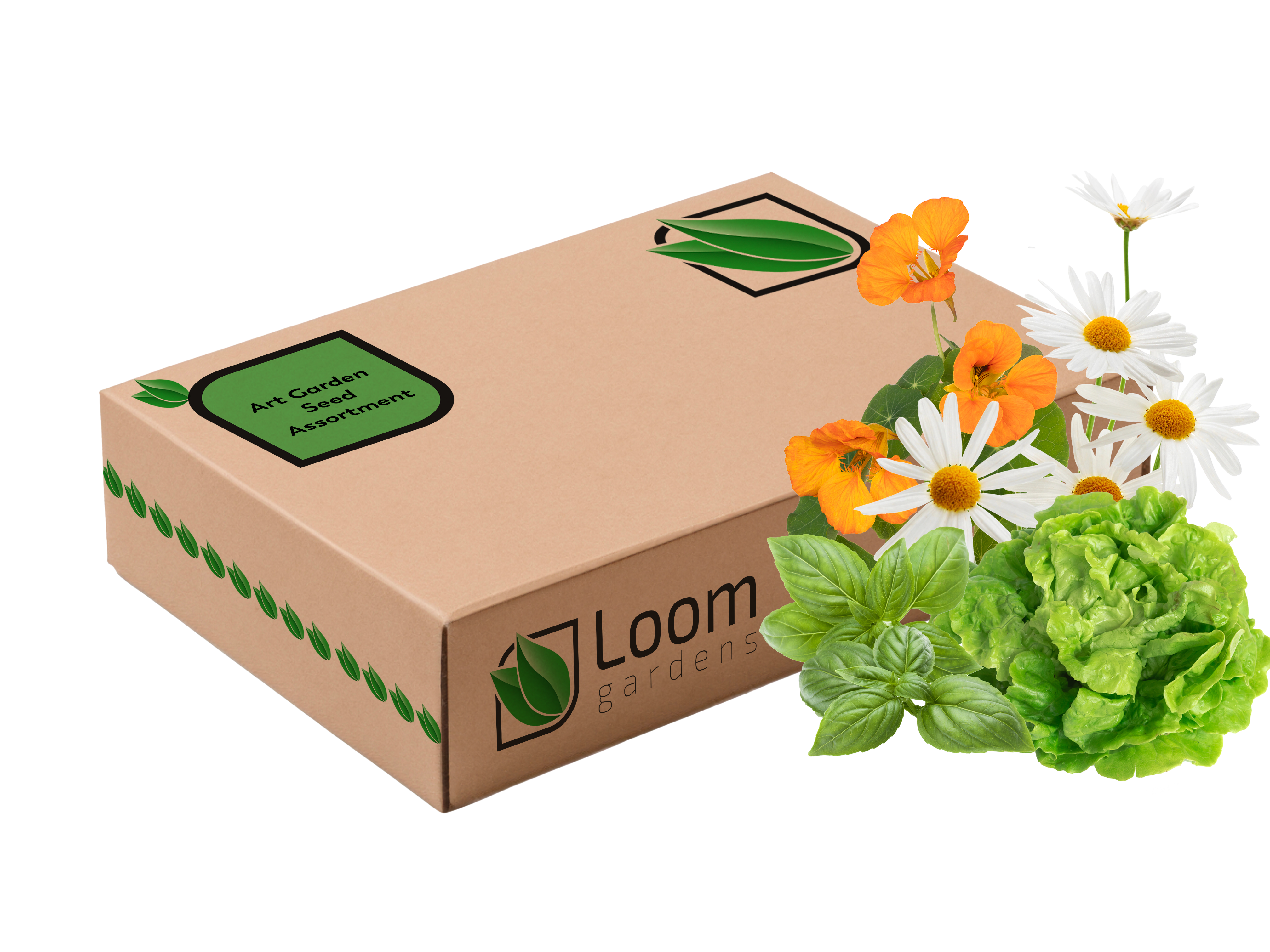 Art Garden Seed Assortment - Loom Gardens