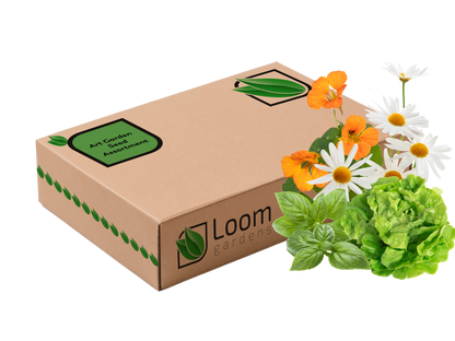 Art Garden Seed Assortment - Loom Gardens
